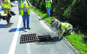 Dogs Detect Wastewater Spills